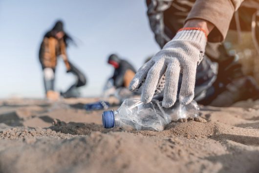 how-to-organise-a-beach-clean-up