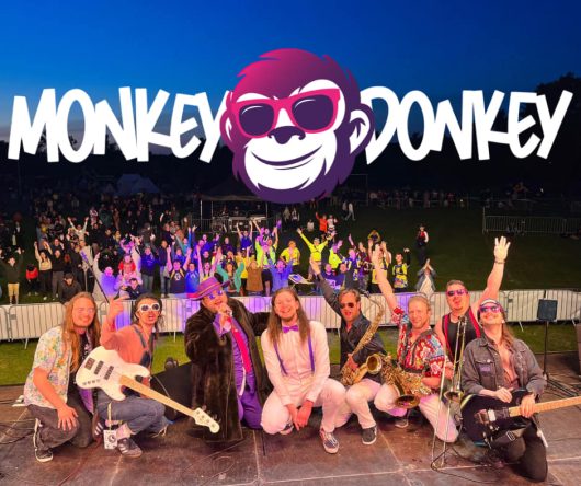 monkey-donkey